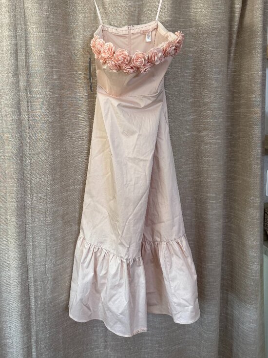 Anthropologie Dresses & Skirts - Hutch x Anthropologie 3-D Roses Strapless Pink Ruffled Hem Midi Dress Size 12